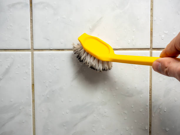 Best Black Mold Removal  in Haughton, LA