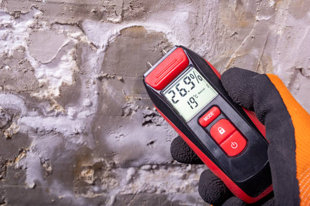 Crawl Space Mold Removal in Haughton, LA