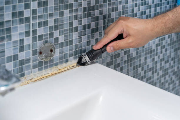 Best Office Mold Removal Services  in Haughton, LA