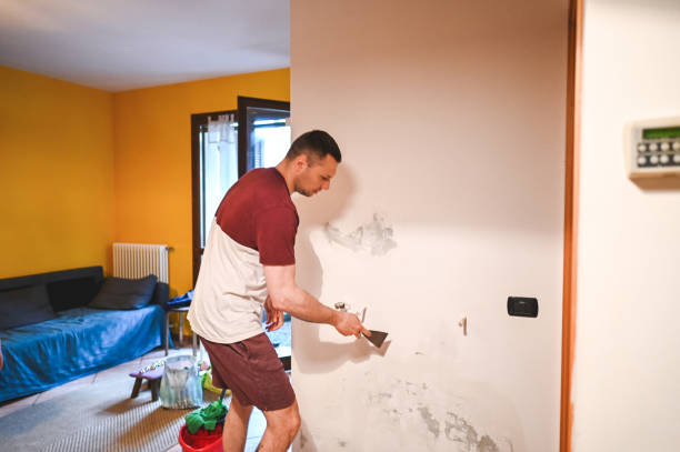 Best Local Mold Removal Service  in Haughton, LA